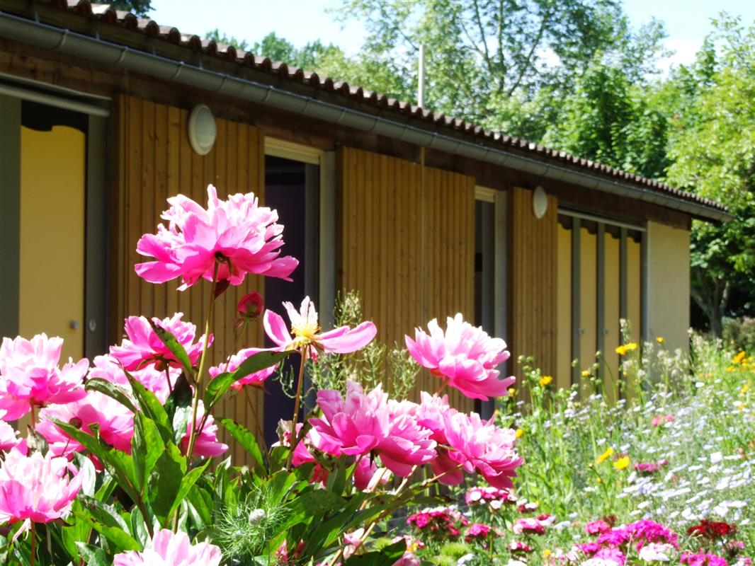 Emplacement Camping Caravaning Sarlat Location Emplacement